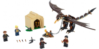 LEGO Harry Potter Hungarian Horntail Triwizard Challenge 2019
